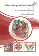 آناتومی بالینی لگن پرینه و پستان